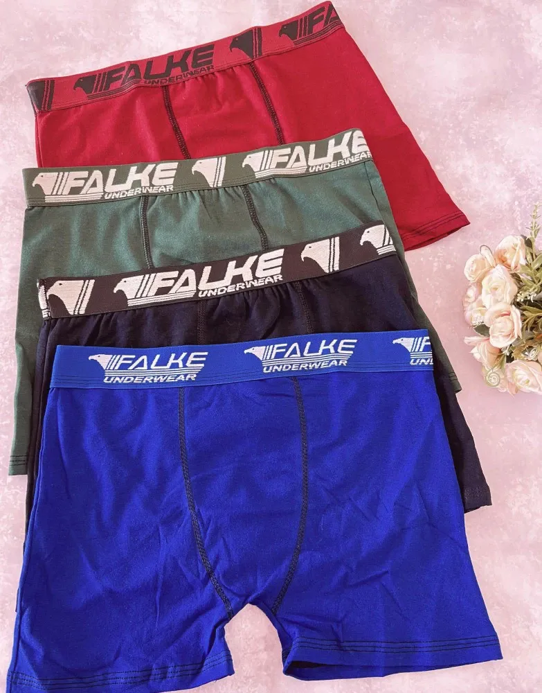 CUECA FALKE MICROFIBRA LISA (90%POLIESTER 10% ELASTANO - FORRO INTERNO 100% ALGODAO) 3